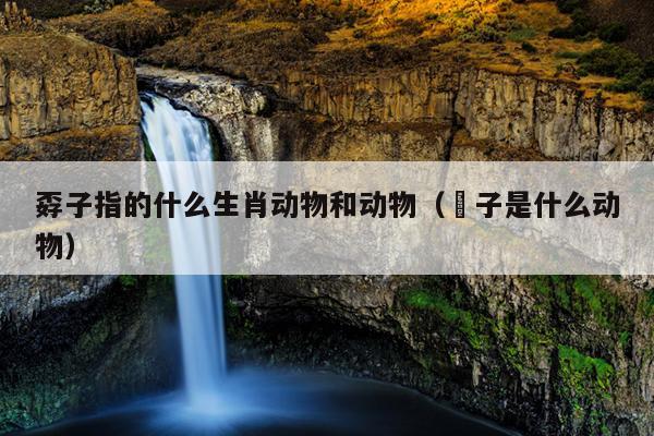 孬子指的什么生肖动物和动物（齁子是什么动物）