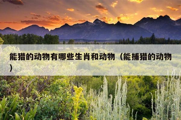 能猎的动物有哪些生肖和动物（能捕猎的动物）