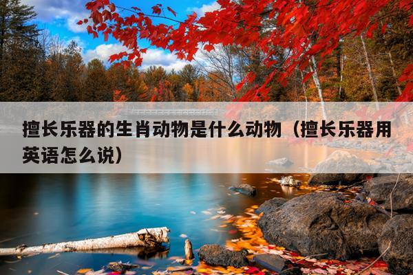 擅长乐器的生肖动物是什么动物（擅长乐器用英语怎么说）
