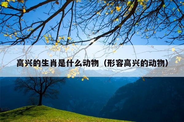 高兴的生肖是什么动物（形容高兴的动物）