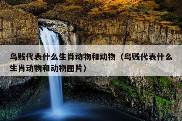 鸟贱代表什么生肖动物和动物（鸟贱代表什么生肖动物和动物图片）
