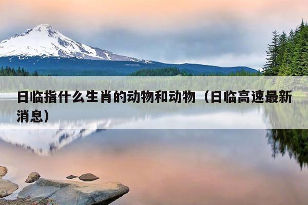 日临指什么生肖的动物和动物（日临高速最新消息）