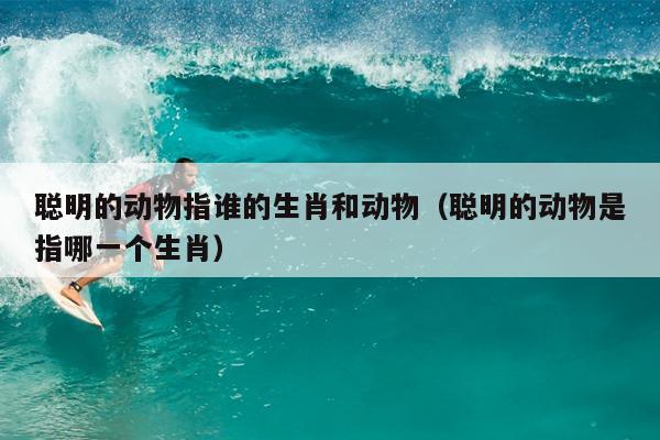 聪明的动物指谁的生肖和动物（聪明的动物是指哪一个生肖）