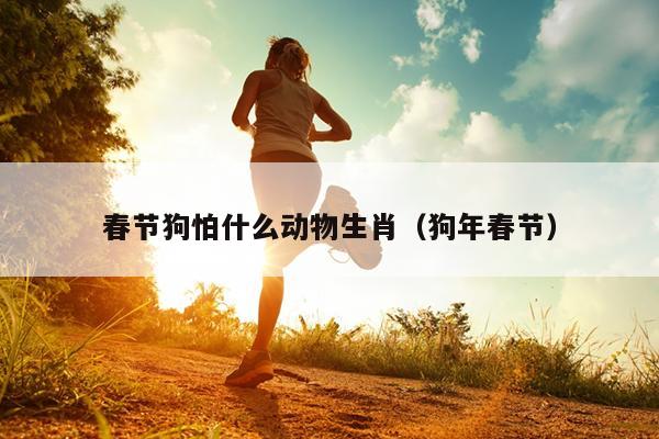 春节狗怕什么动物生肖（狗年春节）