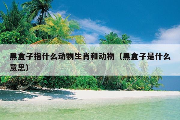 黑盒子指什么动物生肖和动物（黑盒子是什么意思）