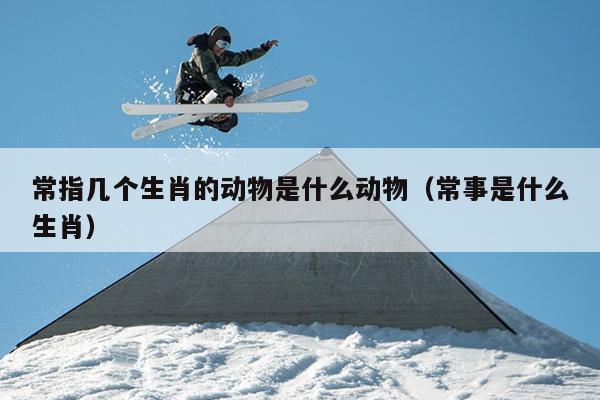 常指几个生肖的动物是什么动物（常事是什么生肖）
