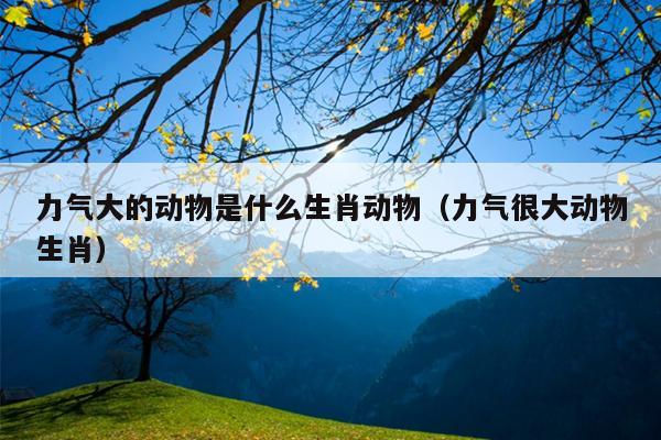 力气大的动物是什么生肖动物（力气很大动物生肖）