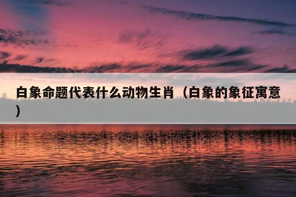 白象命题代表什么动物生肖（白象的象征寓意）