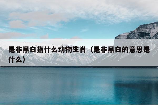 是非黑白指什么动物生肖（是非黑白的意思是什么）