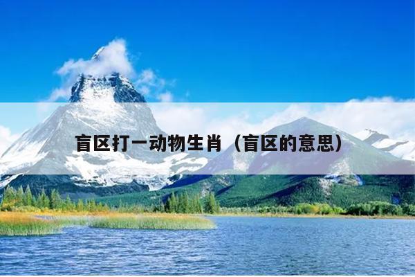 盲区打一动物生肖（盲区的意思）