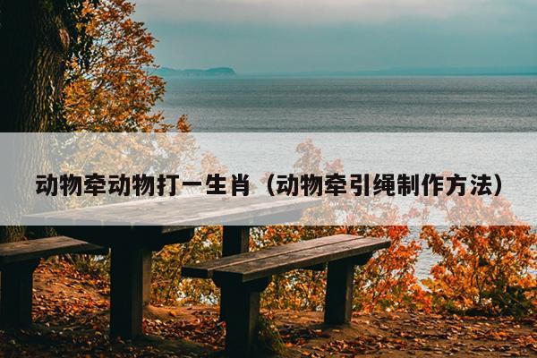 动物牵动物打一生肖（动物牵引绳制作方法）