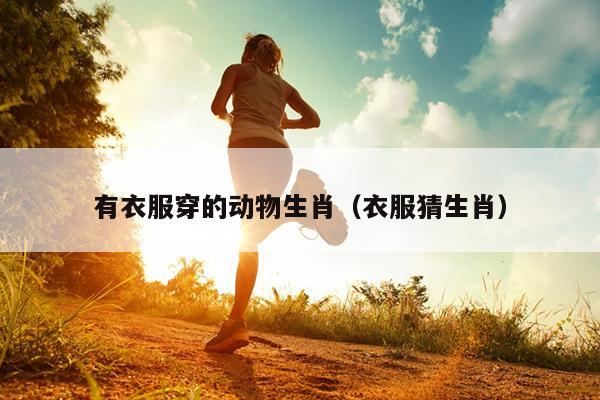 有衣服穿的动物生肖（衣服猜生肖）