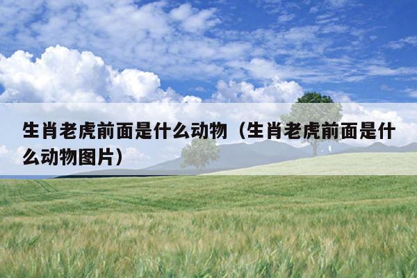 生肖老虎前面是什么动物（生肖老虎前面是什么动物图片）