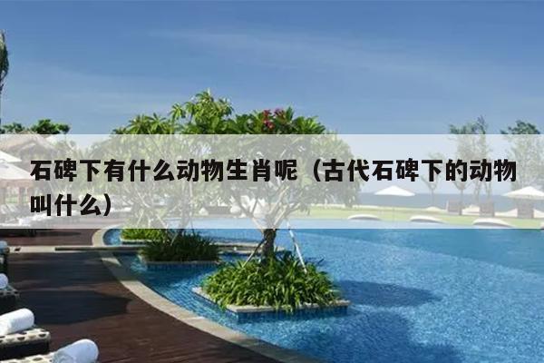 石碑下有什么动物生肖呢（古代石碑下的动物叫什么）