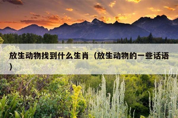 放生动物找到什么生肖（放生动物的一些话语）