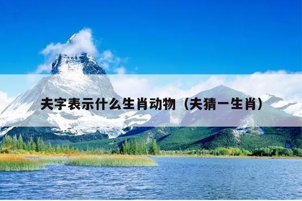 夫字表示什么生肖动物（夫猜一生肖）