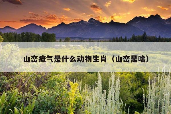 山峦瘴气是什么动物生肖（山峦是啥）