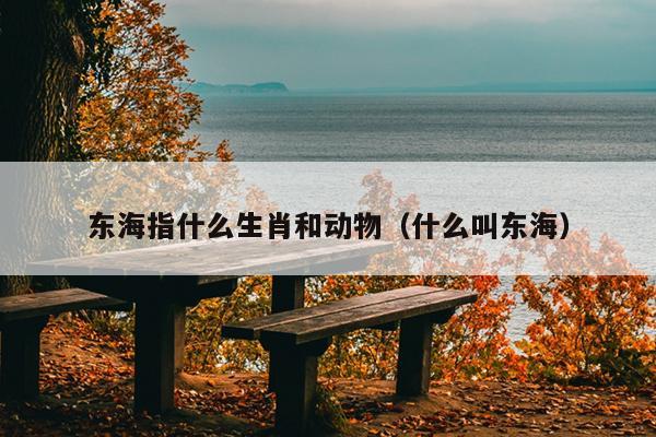 东海指什么生肖和动物（什么叫东海）