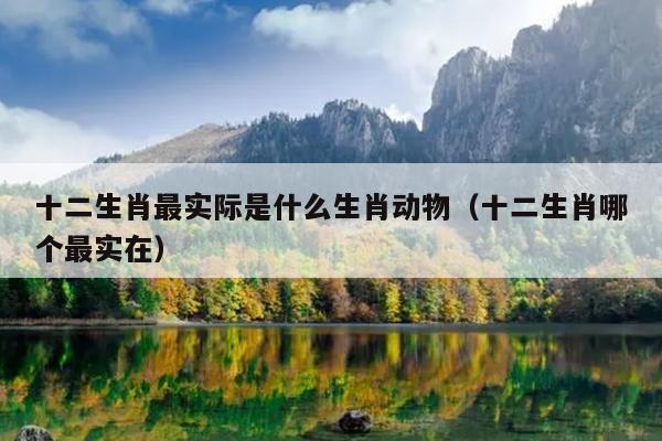 十二生肖最实际是什么生肖动物（十二生肖哪个最实在）