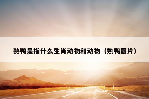 熟鸭是指什么生肖动物和动物（熟鸭图片）