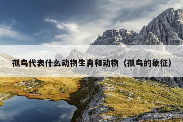 孤鸟代表什么动物生肖和动物（孤鸟的象征）