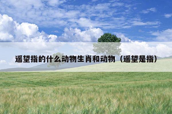 遥望指的什么动物生肖和动物（遥望是指）
