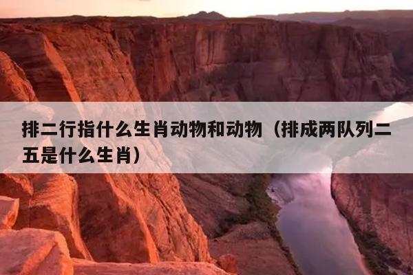 排二行指什么生肖动物和动物（排成两队列二五是什么生肖）
