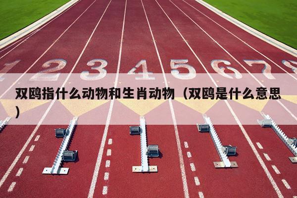 双鸥指什么动物和生肖动物（双鸥是什么意思）