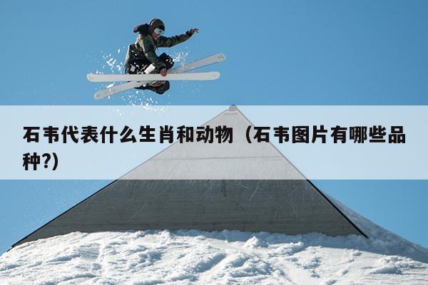 石韦代表什么生肖和动物（石韦图片有哪些品种?）