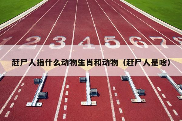 赶尸人指什么动物生肖和动物（赶尸人是啥）