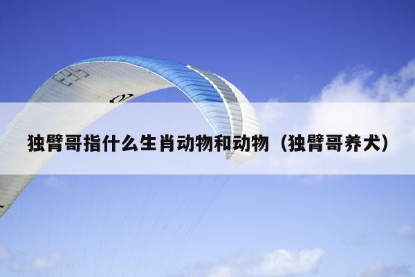 独臂哥指什么生肖动物和动物（独臂哥养犬）