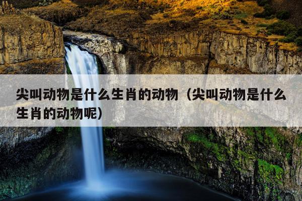 尖叫动物是什么生肖的动物（尖叫动物是什么生肖的动物呢）