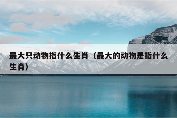 最大只动物指什么生肖（最大的动物是指什么生肖）