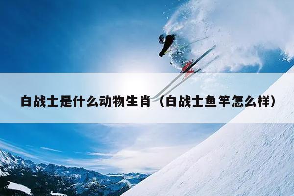 白战士是什么动物生肖（白战士鱼竿怎么样）