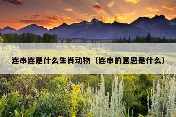 连串连是什么生肖动物（连串的意思是什么）