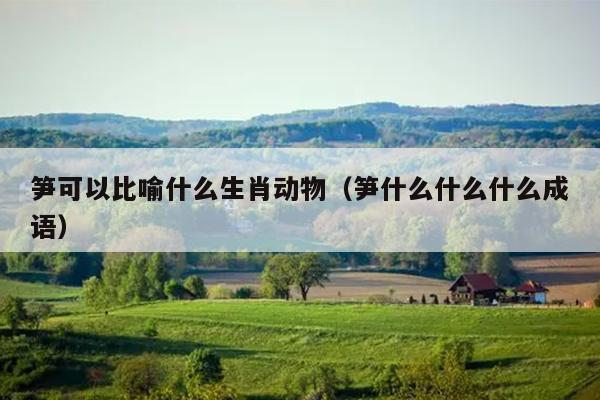 笋可以比喻什么生肖动物（笋什么什么什么成语）