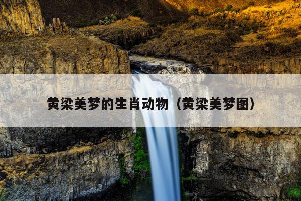 黄梁美梦的生肖动物（黄梁美梦图）