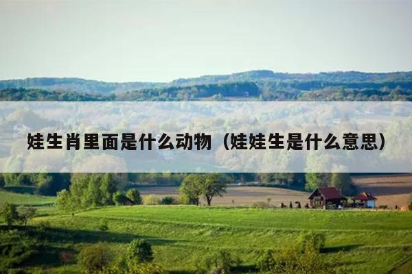 娃生肖里面是什么动物（娃娃生是什么意思）