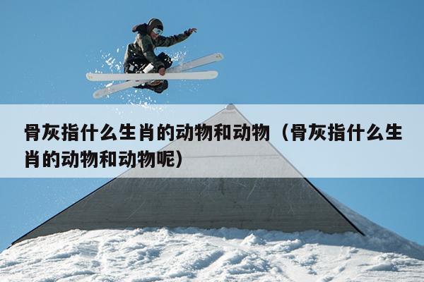 骨灰指什么生肖的动物和动物（骨灰指什么生肖的动物和动物呢）