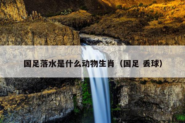 国足落水是什么动物生肖（国足 丢球）