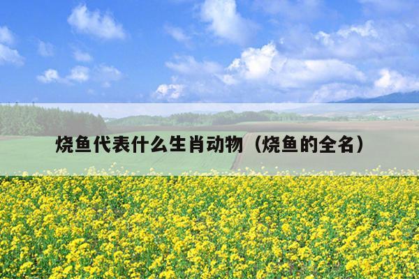 烧鱼代表什么生肖动物（烧鱼的全名）