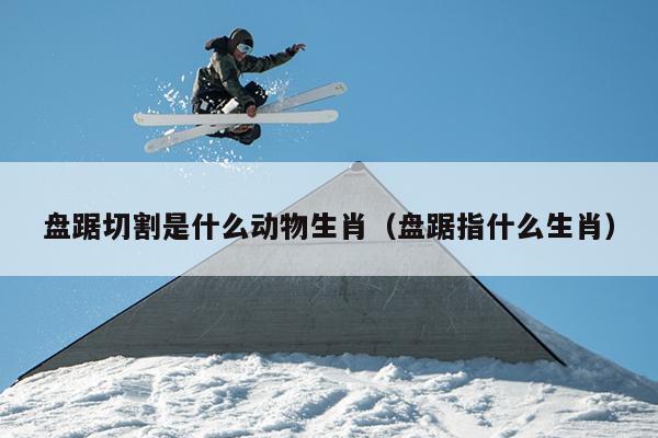盘踞切割是什么动物生肖（盘踞指什么生肖）