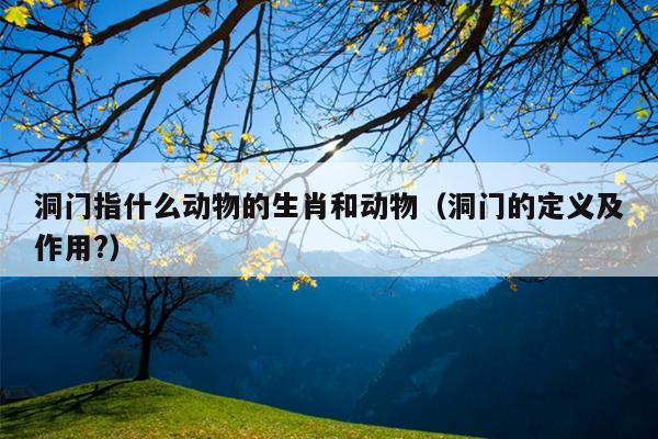 洞门指什么动物的生肖和动物（洞门的定义及作用?）