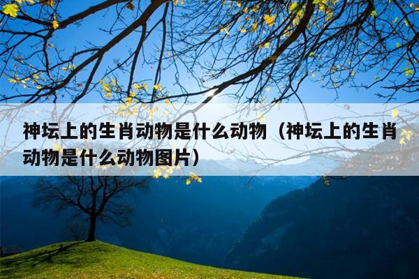 神坛上的生肖动物是什么动物（神坛上的生肖动物是什么动物图片）