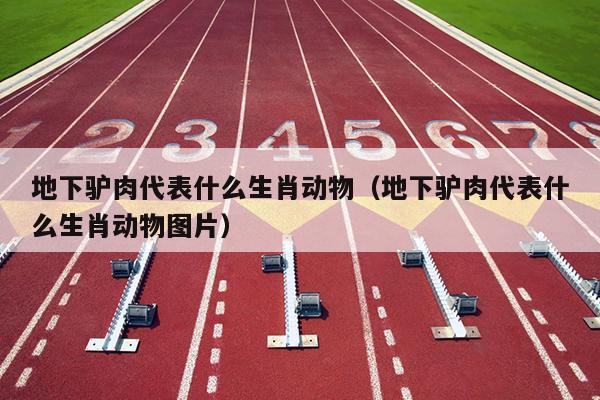 地下驴肉代表什么生肖动物（地下驴肉代表什么生肖动物图片）