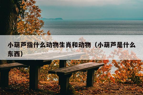 小葫芦指什么动物生肖和动物（小葫芦是什么东西）