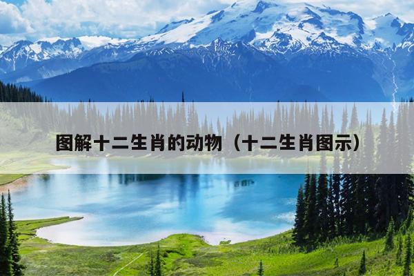 图解十二生肖的动物（十二生肖图示）