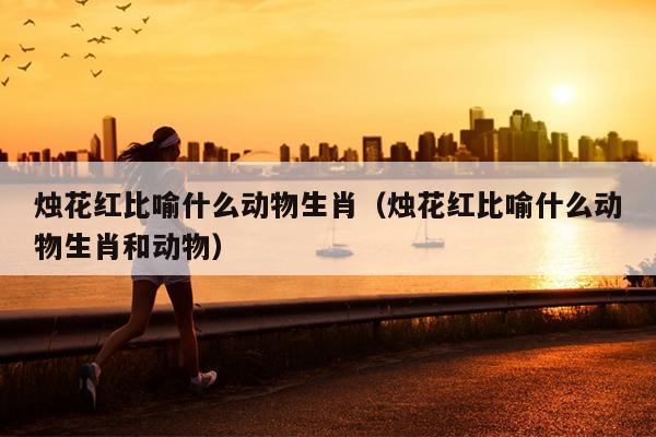 烛花红比喻什么动物生肖（烛花红比喻什么动物生肖和动物）