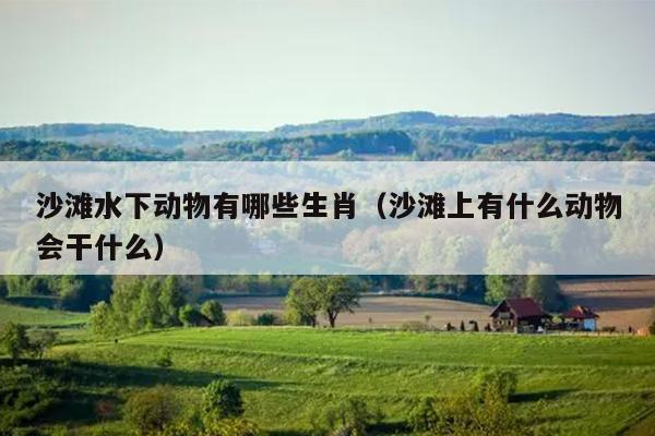 沙滩水下动物有哪些生肖（沙滩上有什么动物会干什么）