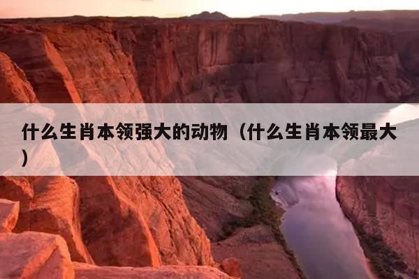 什么生肖本领强大的动物（什么生肖本领最大）